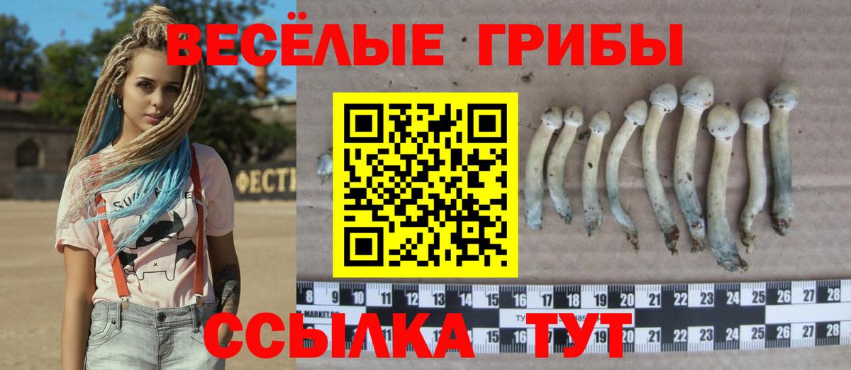 Галлюциногенные грибы прущие грибы Калининград